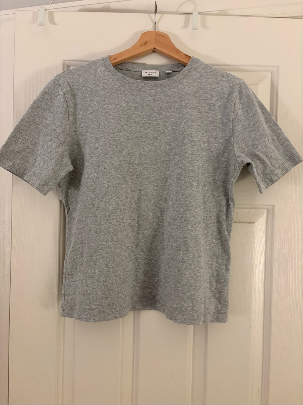 Aritzia the group gray t shirt